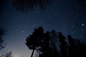 forest-nature-sky-space-star-Favim.com-117944